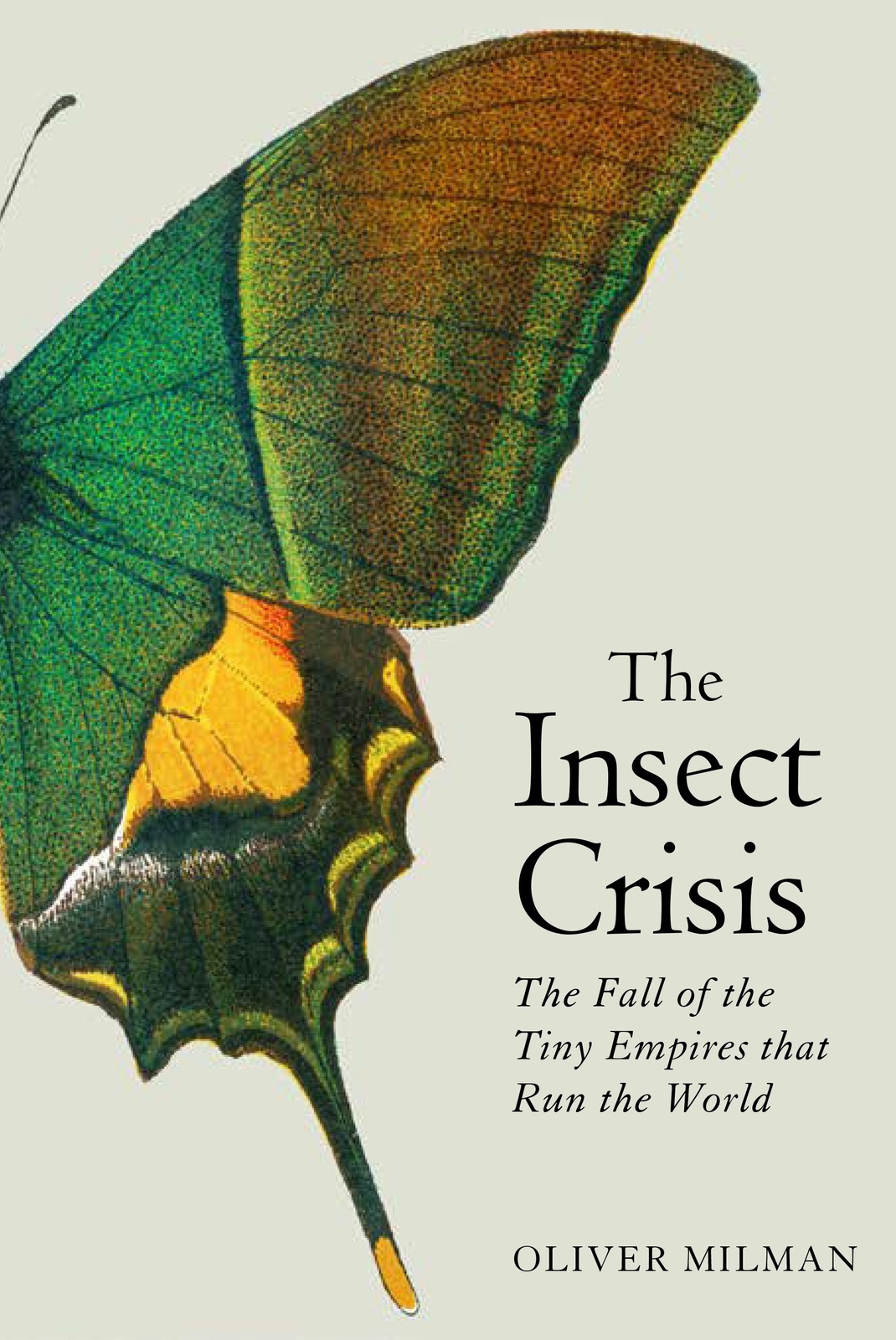 the insect crisis by oliver milman